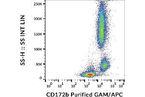 Flow cytometry analysis (surface staining) of human peripheral blood cells with anti-human CD172b (B4B6) purified, GAM-APC. (CD172b / SIRP beta 抗体)