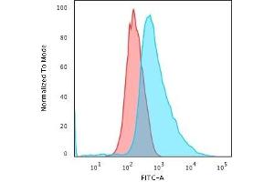 Flow Cytometric Analysis of PFA-fixed HeLa cells labeling CK17 with CK17 MAb (SPM560) followed by Goat anti-Mouse IgG-CF488 (Blue) Isotype Control (Red) (KRT17 抗体)