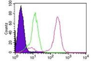 Flow Cytometry (FACS) image for anti-Inhibitor of kappa Light Polypeptide Gene Enhancer in B-Cells, Kinase gamma (IKBKG) antibody (ABIN6655353)