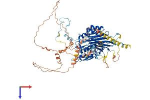 Protein Structure (PS) image for Angel Homolog 1 (ANGEL1) (AA 1-670) protein (His tag) (ABIN7552215)