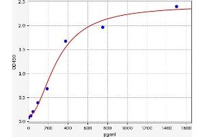 BMP8B ELISA 试剂盒