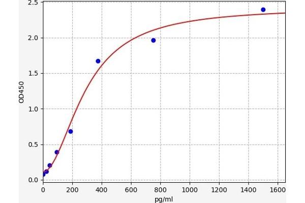 BMP8B ELISA 试剂盒