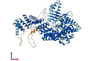Protein Structure (PS) image for Tetratricopeptide Repeat Domain 13 (TTC13) (AA 1-860) protein (His tag) (ABIN7544932)