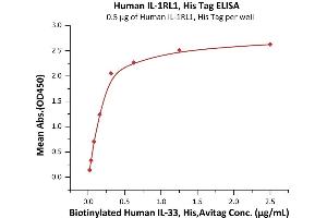 Immobilized Human IL-1RL1, His Tag (ABIN2181366,ABIN2181365) at 5 μg/mL (100 μL/well) can bind Biotinylated Human IL-33, His,Avitag (ABIN6973124) with a linear range of 0. (IL1RL1 Protein (AA 19-328) (His tag))
