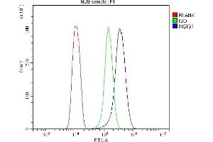 Flow Cytometry analysis of HEPA1-6 cells using anti-Insig1 antibody (ABIN7603176). (INSIG1 抗体  (N-Term))