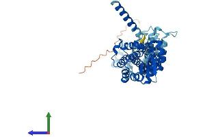 Protein Structure (PS) image for COP9 Constitutive Photomorphogenic Homolog Subunit 2 (Arabidopsis) (COPS2) (AA 1-443) protein (His tag) (ABIN7553582)