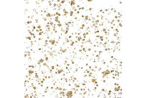 Immunocytochemistry (ICC) image for anti-CD79b Molecule, Immunoglobulin-Associated beta (CD79B) (AA 200-250) antibody (ABIN7454006)