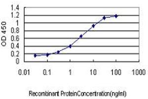 Detection limit for recombinant GST tagged CD48 is approximately 0. (CD48 抗体  (AA 1-169))