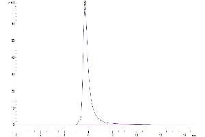 Size-exclusion chromatography-High Pressure Liquid Chromatography (SEC-HPLC) image for CD48 (CD48) (AA 27-220) protein (Fc Tag) (ABIN7275621)