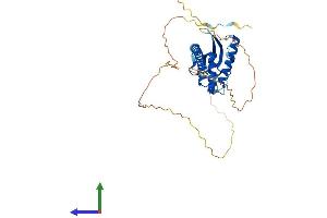 Protein Structure (PS) image for Sorting Nexin 16 (SNX16) (AA 1-344) protein (His tag) (ABIN7546332)