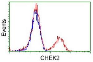 Flow Cytometry (FACS) image for anti-Checkpoint Kinase 2 (CHEK2) antibody (ABIN1497498) (CHEK2 抗体)