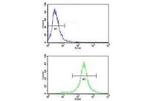 Flow Cytometry (FACS) image for anti-Mast/stem Cell Growth Factor Receptor (KIT) (AA 106-135) antibody (ABIN3031704)