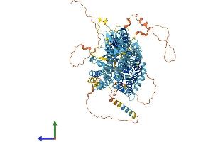 Protein Structure (PS) image for Solute Carrier Family 4, Sodium Bicarbonate Cotransporter, Member 8 (SLC4A8) (AA 1-1093) protein (His tag) (ABIN7555430)