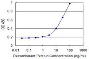 Detection limit for recombinant GST tagged ZIC4 is 0. (ZIC4 抗体  (AA 1-90))