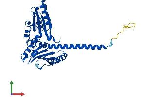 Protein Structure (PS) image for Actin Related Protein 2/3 Complex, Subunit 2, 34kDa (ARPC2) (AA 1-300) protein (His tag) (ABIN7552340)
