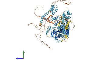 Protein Structure (PS) image for SWI/SNF-Related, Matrix-Associated Actin-Dependent Regulator of Chromatin, Subfamily A, Containing DEAD/H Box 1 (SMARCAD1) (AA 1-1021) protein (His tag) (ABIN7563594)