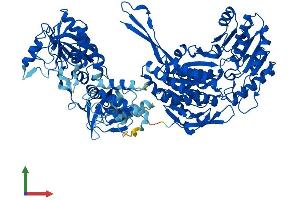 AlphaFold protein structure predicition of Human Recombinant ALDH1L1 Protein, UniprotID O75891