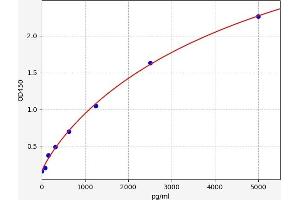 Typical standard curve (MBLAC1 ELISA 试剂盒)