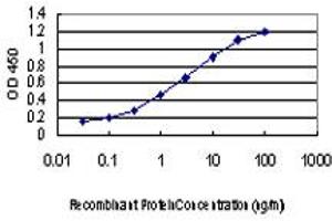 Detection limit for recombinant GST tagged PRKCD is approximately 0. (PKC delta 抗体  (AA 577-676))
