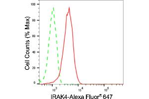 Flow cytometric analysis of IRAK4 expression in HT- cells using IRAK4 antibody (ABIN7799116), 1:2,000). (Recombinant IRAK4 抗体)