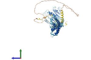 Protein Structure (PS) image for Dynamin 1-Like (DNM1L) (AA 1-736) protein (His tag) (ABIN7553687)