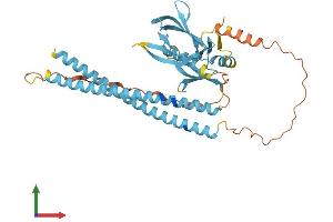 Protein Structure (PS) image for Synaptosomal-Associated Protein, 47kDa (SNAP47) (AA 1-413) protein (His tag) (ABIN7559775)