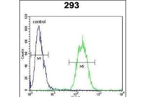 SACA1 Antibody (N-term) (ABIN654730 and ABIN2844418) flow cytometric analysis of 293 cells (right histogram) compared to a negative control cell (left histogram).