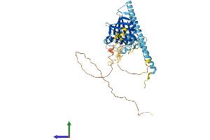 Protein Structure (PS) image for Peter Pan Homolog (PPAN) (AA 1-470) protein (His tag) (ABIN7560122)