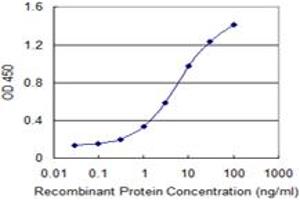 Detection limit for recombinant GST tagged DCLK1 is 0. (DCLK1 抗体  (AA 640-729))