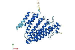 AlphaFold protein structure predicition of Human Recombinant ICMT Protein, UniprotID O60725