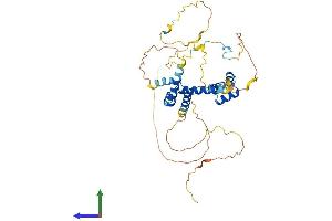 Protein Structure (PS) image for CUE Domain Containing 1 (CUEDC1) (AA 1-388) protein (His tag) (ABIN7559748)