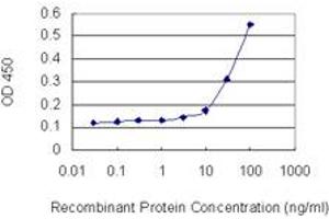 Detection limit for recombinant GST tagged GJB2 is 3 ng/ml as a capture antibody. (GJB2 抗体  (AA 1-226))