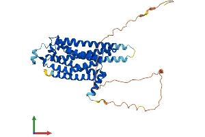 AlphaFold protein structure predicition of Human Recombinant ADORA2A Protein, UniprotID P29274