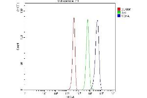 Flow Cytometry analysis of 293T cells using anti-SDHA antibody (ABIN3043324).