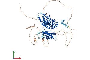 Protein Structure (PS) image for Polymerase (DNA Directed) iota (POLI) (AA 1-717) protein (His tag) (ABIN7564143)