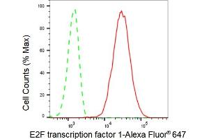 Flow cytometric analysis of E2F transcription factor 1 expression in C2C12 cells using E2F transcription factor 1 antibody (ABIN7798413), 1:2,000). (Recombinant E2F1 抗体)