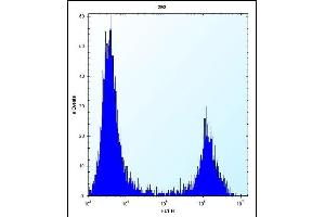 MID1IP1 Antibody (N-term) (ABIN656689 and ABIN2845926) flow cytometric analysis of 293 cells (right histogram) compared to a negative control cell (left histogram). (m1ip1 抗体  (N-Term))