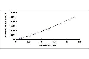 ELISA image for C-Fos Induced Growth Factor (Vascular Endothelial Growth Factor D) (Figf) ELISA Kit (ABIN414936)