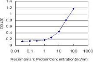 Detection limit for recombinant GST tagged STAT5B is approximately 0. (STAT5B 抗体  (AA 678-787))