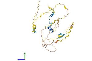 Protein Structure (PS) image for POU Class 2 Associating Factor 1 (POU2AF1) (AA 1-256) protein (His tag) (ABIN7550064)