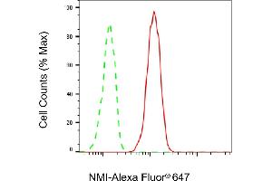 Flow cytometric analysis of NMI expression in HT- cells using NMI antibody (ABIN7799535), 1:2,000).