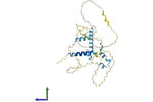 Protein Structure (PS) image for Family with Sequence Similarity 110, Member A (FAM110A) (AA 1-296) protein (His tag) (ABIN7559656)