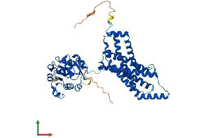 AlphaFold protein structure predicition of Human Recombinant STEAP2 Protein, UniprotID Q8NFT2