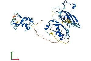 Protein Structure (PS) image for SWI/SNF Related, Matrix Associated, Actin Dependent Regulator of Chromatin, Subfamily B, Member 1 (SMARCB1) (AA 1-385) protein (His tag) (ABIN7565254)