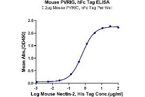 ELISA image for Poliovirus Receptor-Related Immunoglobulin Domain Containing (PVRIG) (AA 35-165) protein (Fc-Avi Tag) (ABIN7275507)