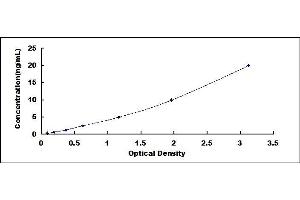 Typical standard curve (CRP ELISA 试剂盒)