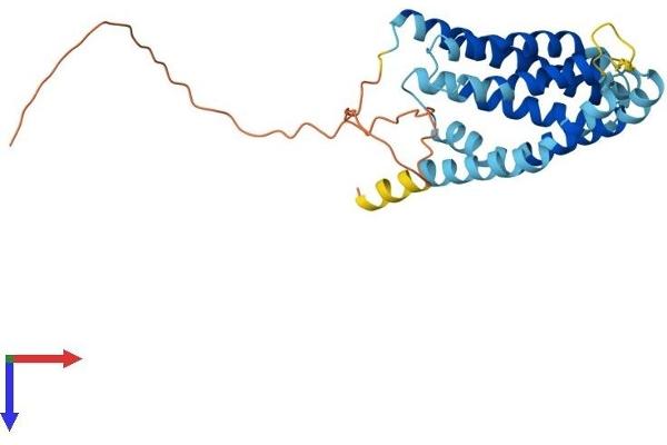 PTPLA Protein (AA 1-288) (His tag)