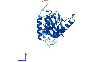 Protein Structure (PS) image for Trafficking Protein Particle Complex 4 (TRAPPC4) (AA 1-219) protein (His tag) (ABIN7561456)