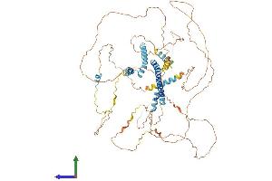 Protein Structure (PS) image for Consortin, Connexin Sorting Protein (CNST) (AA 1-725) protein (His tag) (ABIN7546646)