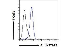 Flow Cytometry (FACS) image for anti-Signal Transducer and Activator of Transcription 3 (Acute-Phase Response Factor) (STAT3) (C-Term) antibody (ABIN184593)